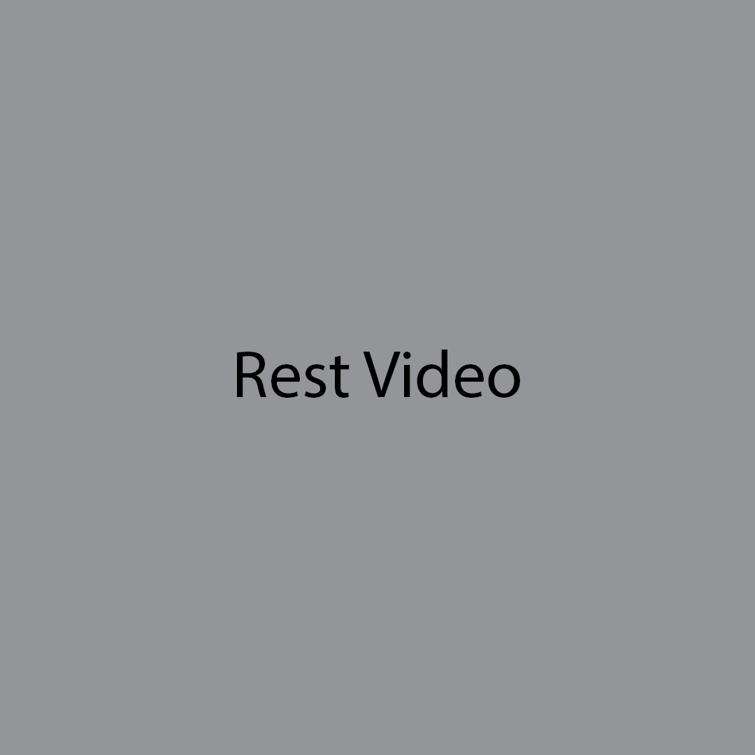 Rest Video Example